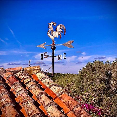 Spartaco Eco Retreat San Pantaleo Sole Ruiu Eksteriør billede