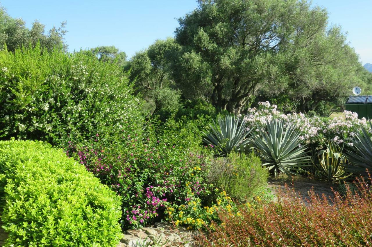 Spartaco Eco Retreat San Pantaleo Sole Ruiu Eksteriør billede